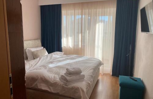 Baia Mare Apartamento | Apartament Cozma