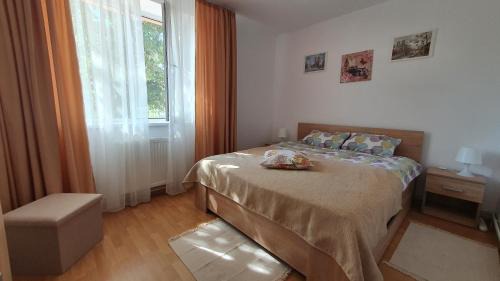 Orsova Apartamento | Apartament Cozy Orsova