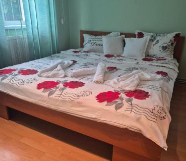 Timisoara Apartamento | Apartament Crăciunița