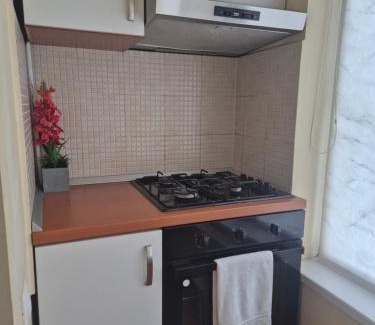 Timisoara Apartamento | Apartament Crăciunița