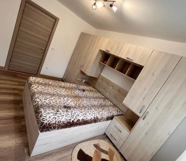 Dorohoi Apartamento | Apartament cu o cameră