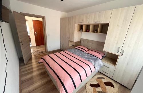 Dorohoi Apartamento | Apartament cu o cameră