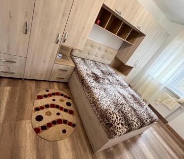 Dorohoi Apartamento | Apartament cu o cameră