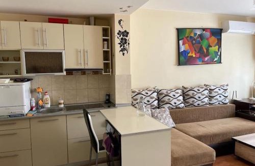 Satu Mare Apartamento | Apartament cu un dormitor/One bedroom apartment