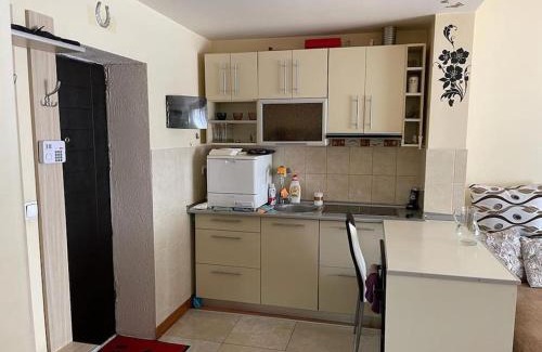 Satu Mare Apartamento | Apartament cu un dormitor/One bedroom apartment