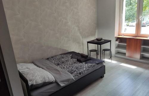 Zabrze Apartamento | Apartament Curie