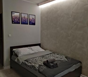Zabrze Apartamento | Apartament Curie