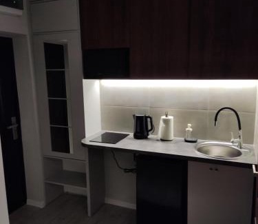 Zabrze Apartamento | Apartament Curie