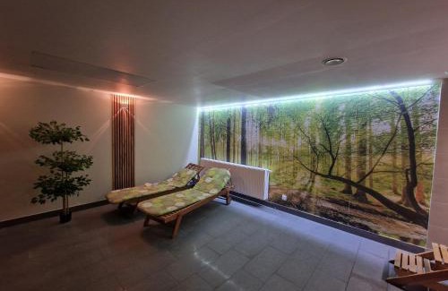 Miedzygorze Apartamento | Apartament Czarna Góra 20