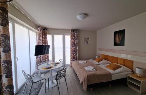 Miedzygorze Apartamento | Apartament Czarna Góra 20