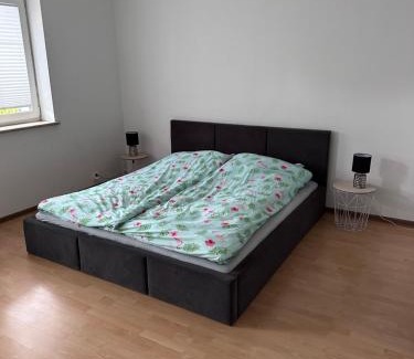 Dabrowno Apartamento | Apartament Dąbrówno