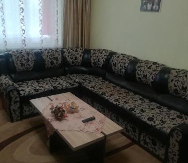 Tirgu Mures Apartamento | Apartament Dani