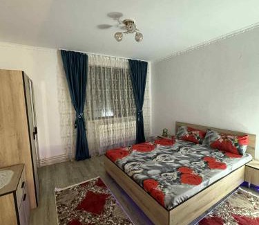 Turnu Magurele Apartamento | Apartament de închiriat