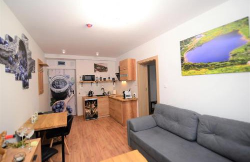 Bierutowice Apartamento | Apartament De Luxe Emily Karpacz