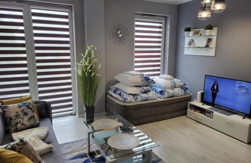 Oswiecim Apartamento | Apartament DeLuxe 4