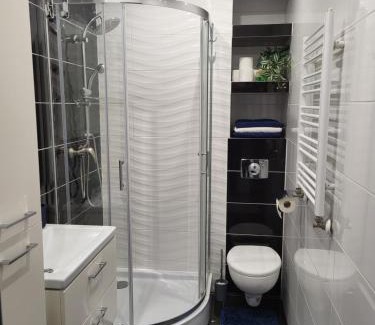 Oswiecim Apartamento | Apartament DeLuxe 4