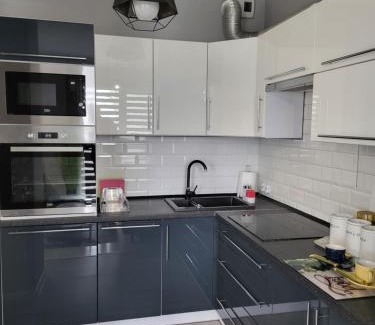 Oswiecim Apartamento | Apartament DeLuxe 4