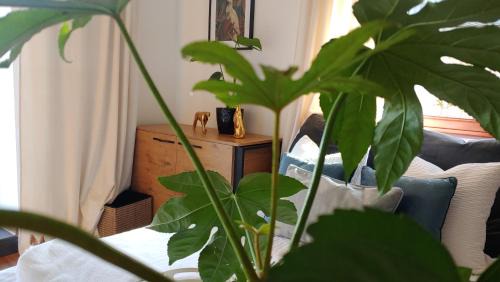 Koscielisko Apartamento | Apartament Dolce Vita Kościelisko Resort