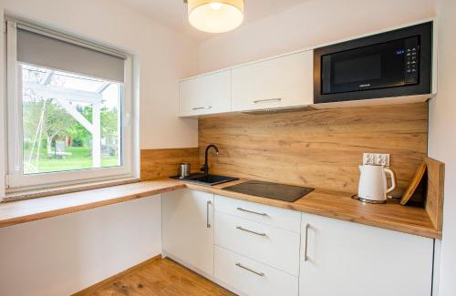 Kudowa Zdroj Apartamento | Apartament - DOMEK CAŁOROCZNY JESIONOWSCY sauna