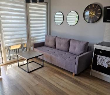 Brzezno Apartamento | Apartament dworska Brzezno