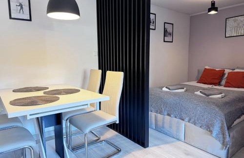 Boguszow-Gorce Apartamento | Apartament Dzikowiec