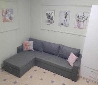 Rade Apartamento | Apartament Ergi-Erlind