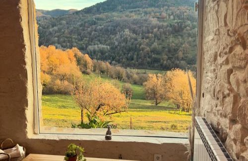 Vallfogona Apartamento | Apartamento ZEN - Mas Regort