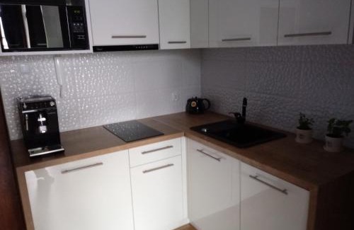 Zwierzyniec Apartamento | apartament Fanaberia