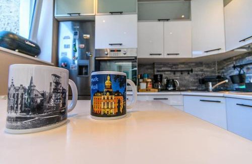 Walbrzych Apartamento | Apartament Górnik w Wałbrzychu 40m, kuchnia, klima, Wifi, parking