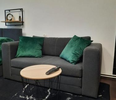 Kalisz Apartamento | Apartament Green Prince