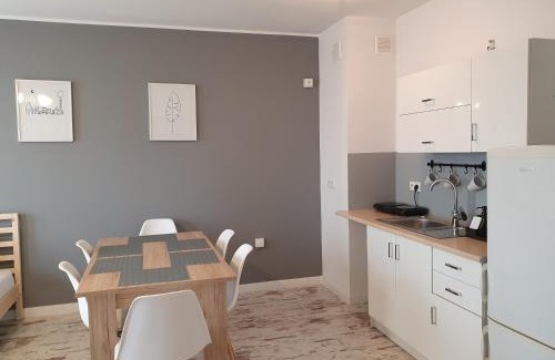 Wladyslawowo Apartamento | Apartament Grey Goose V