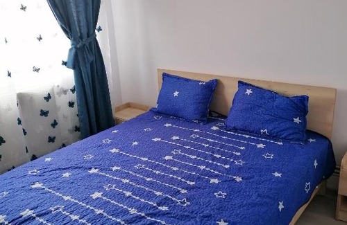 Hateg Apartamento | Apartament Hațeg