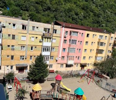 Baile Herculane Apartamento | Apartament Herculane cu vedere la munte