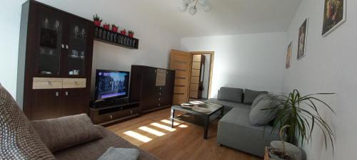 Siemianowice Slaskie Apartamento | Apartament JUKI, obok Katowice Wynajem na doby, krótkoterminowy, 2 pokoje balkon, 50m2,- po kapitalnym remoncie 2-ga sypialnia jest częścią salonu blisko Centrum Leczenia Oparzeń 2,5 km