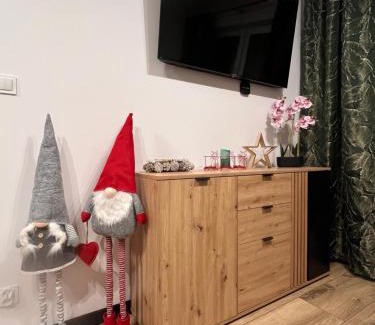 Biala Podlaska Apartamento | Apartament Juleczka
