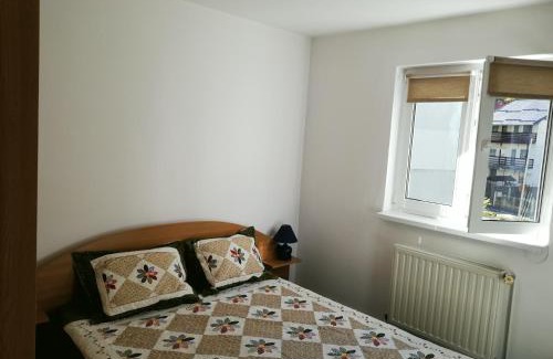 Azuga Apartamento | Apartament langa castan