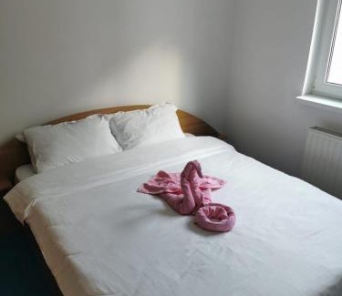Azuga Apartamento | Apartament langa castan