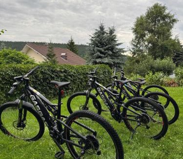 Swieradow-Zdroj Apartamento | Apartament Larice VIP - sauna, balia, basen