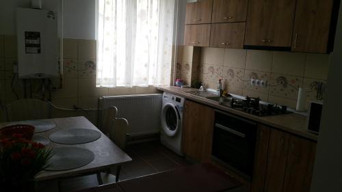 Calimanesti Apartamento | Apartament Lavinia