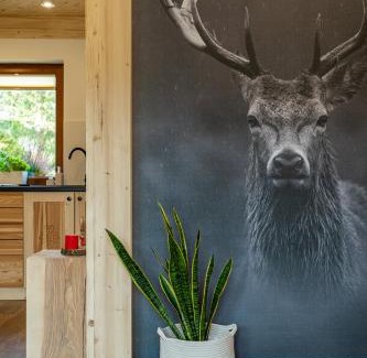 Zakopane Apartamento | Apartament Leśny