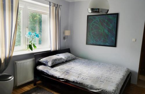 Wzgorze Swietego Maksymiliana Apartamento | Apartament Legionów 55
