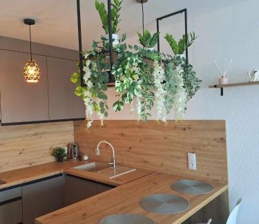 Nowy Targ Apartamento | Apartament Loft Polana Szaflarska