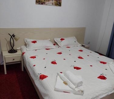 Baile Unu Mai Apartamento | Apartament Lora