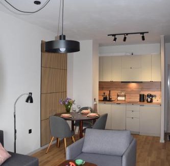 Czestochowa Apartamento | apartament loretańska