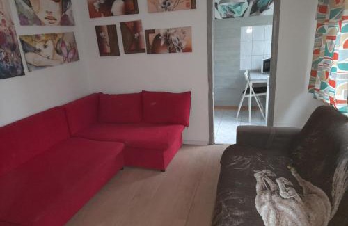 Plock Apartamento | APARTAMENT LOTNIKÓW 7