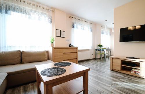 Kedzierzyn Kozle Apartamento | Apartament Lukas