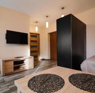 Kedzierzyn Kozle Apartamento | Apartament Lukas