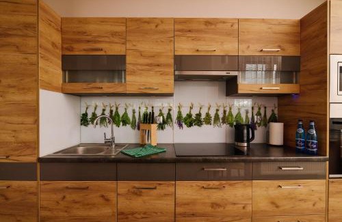 Kedzierzyn Kozle Apartamento | Apartament Lukas