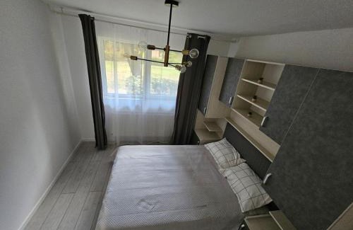 Satu Mare Apartamento | Apartament M&B