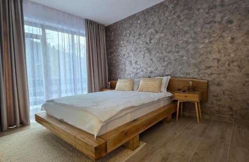 Busteni Apartamento | Apartament Matei Busteni